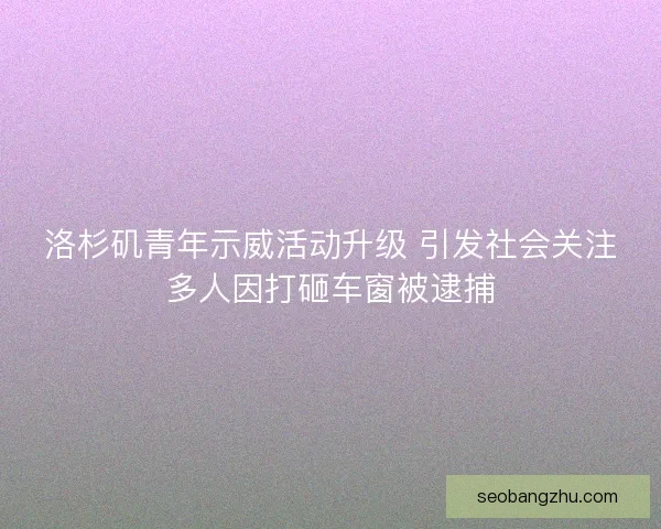 洛杉矶青年示威活动升级 引发社会关注多人因打砸车窗被逮捕